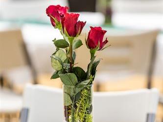 Flowers in vase