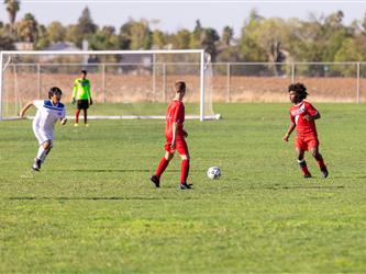 Passing ball to team member