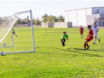 Shot on goal