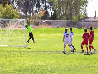 Goalie leaping for ball