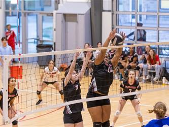 Defending the net