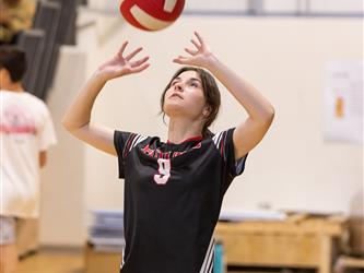 Setting the ball