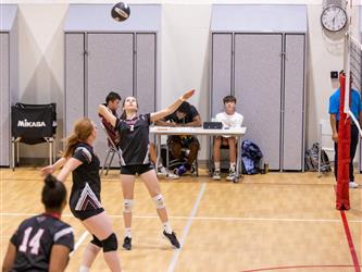 Girls playing volleyball