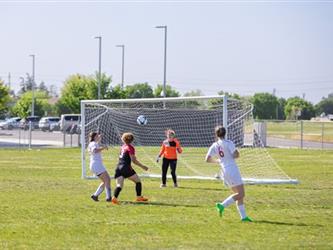Soccer field and players