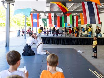 martial arts demonstration
