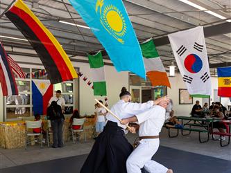 martial arts demonstration