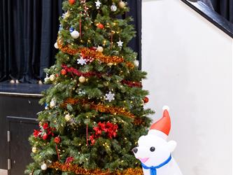 shot of christmas tree