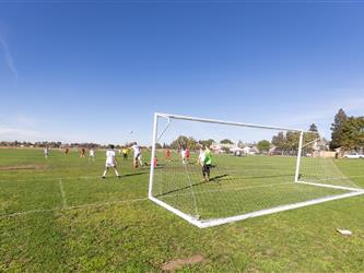 Backside of the net