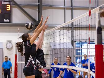 Defending the net