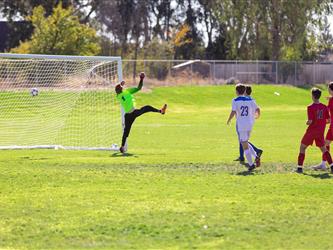 Goalie leaping
