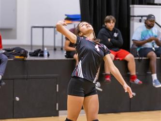 Serving the ball