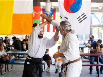 martial arts demonstration